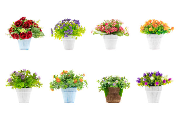 Rows of colorful fake flowers on white background, made from cloth and plastic for decoration.