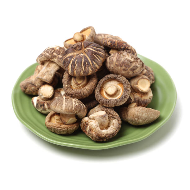 funghi shiitake essiccati isolati su sfondo bianco - shiitake mushroom mushroom dried food dried plant foto e immagini stock