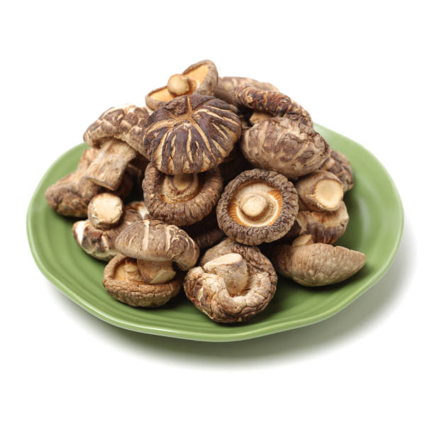 흰색 배경에 고립 된 말린된 표고버섯 - shiitake mushroom mushroom dried food dried plant 뉴스 사진 이미지
