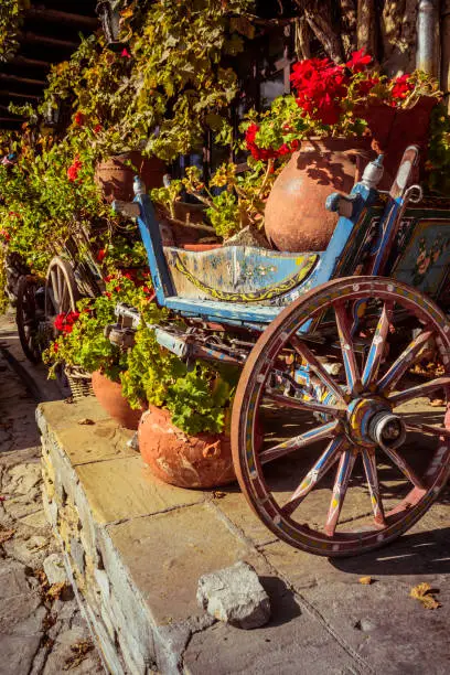 A cart with colorful flowers around the city.