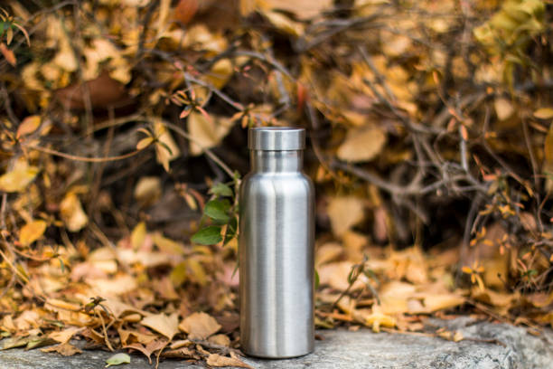istock Insulated Stainless Bottle on the stone steps in the forest 1086588060