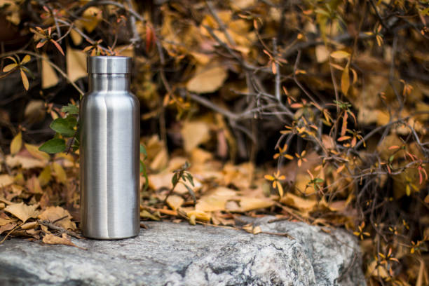 istock Insulated Stainless Bottle on the stone steps in the forest 1086589588