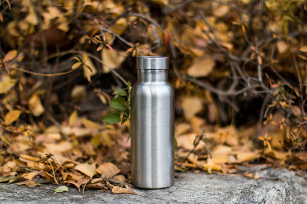 istock Insulated Stainless Bottle on the stone steps in the forest 1086589774