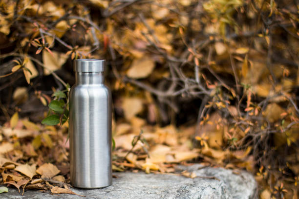istock Insulated Stainless Bottle on the stone steps in the forest 1086589788