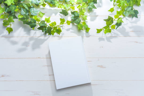 istock Blank hard cover book template on wooden background 1086593912