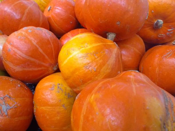 istock Baby pumpkins for Halloween 1086596076