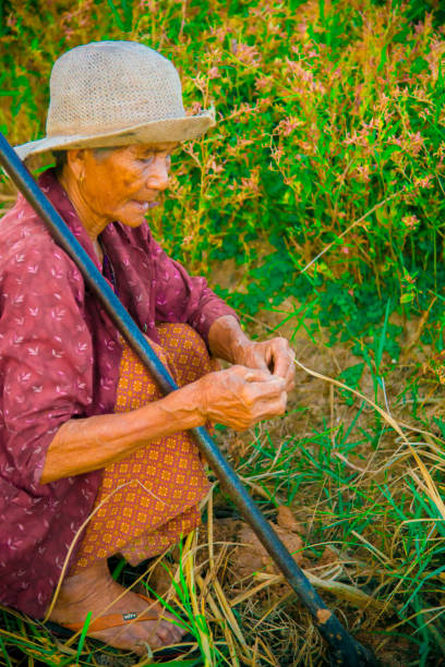 istock Thai elderly hunting a crab in Bangkok, Thailand 1086602922