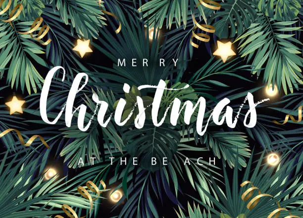 Vector illustration of Christmas tropical vector design for banner or flyer with dark green palm leaves, gold glowing stars, light bulbs and white lettering.