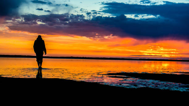 istock tideland in germany 1086607294