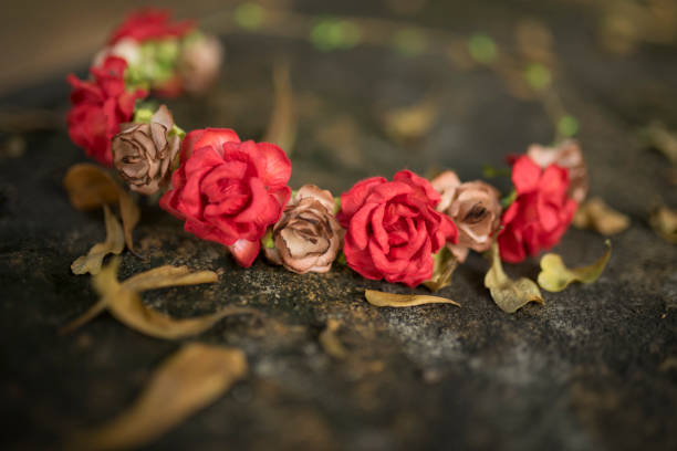 istock beautiful red flowers 1086612476