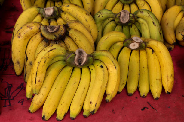 istock Banana Close up 1086614774