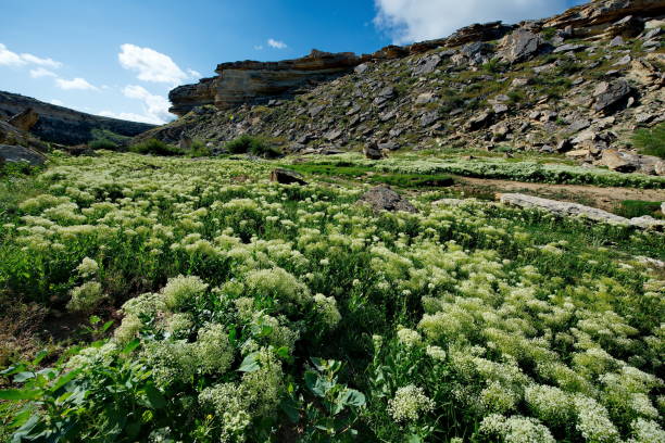 istock Canyon Saura on the Mangyshlak Peninsula 1086618530