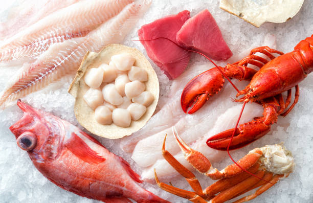 Atlantic Seafood on Ice A selection of Atlantic Ocean seafood on ice. sebastinae photos stock pictures, royalty-free photos & images