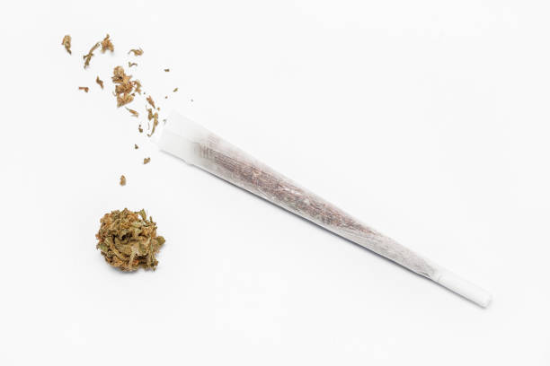 istock Rolling cannabis joint with tobacco on white background 1086620822