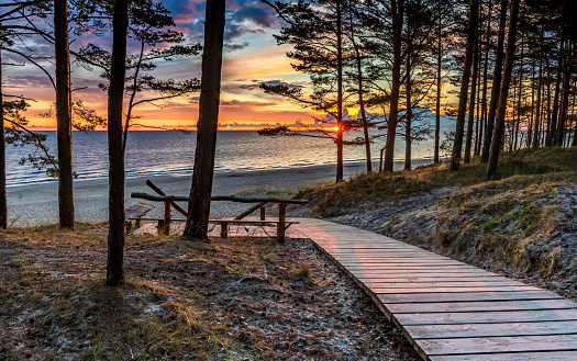 Colorful sunrise at the coastal dune and forest zone of Jurmala, Latvia, EC