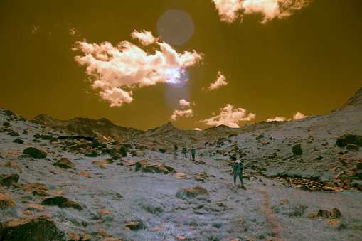 Infrared Photo