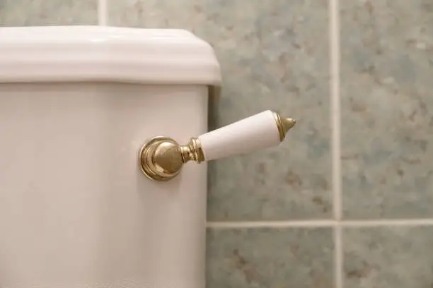Victorian toilet pan lever flush close up detail gold uk