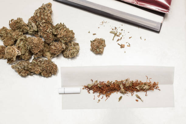 istock Making joint with marijuana buds on white background 1086634126