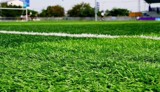 istock Grass field for football sport 1086641454