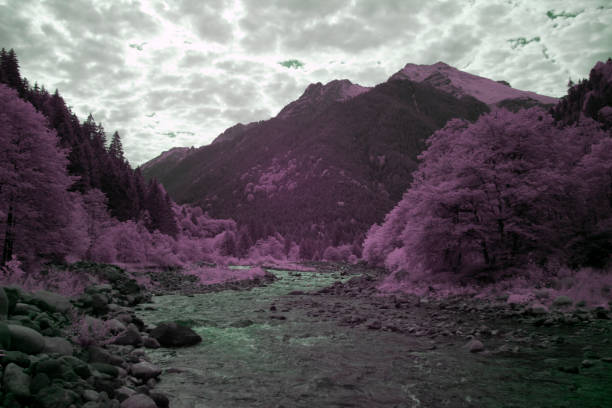 istock Infrared Photography in landscape 1086641522