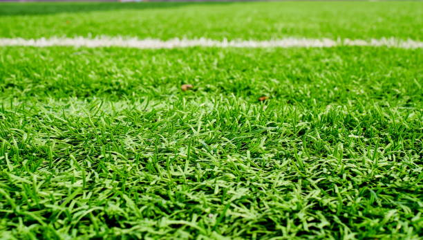 istock Grass field for football sport 1086641564