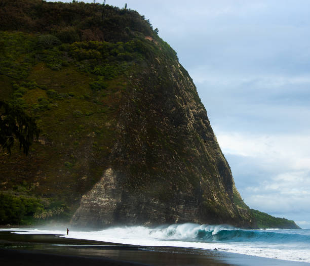 waipio cliffs and beach - hamakua coast imagens e fotografias de stock