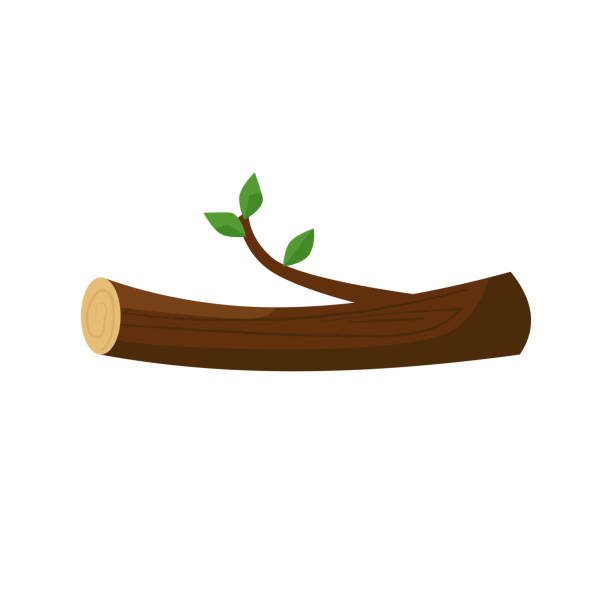 ilustrações, clipart, desenhos animados e ícones de log e filial com ilustração de folhas - computer graphic image lumber industry branch