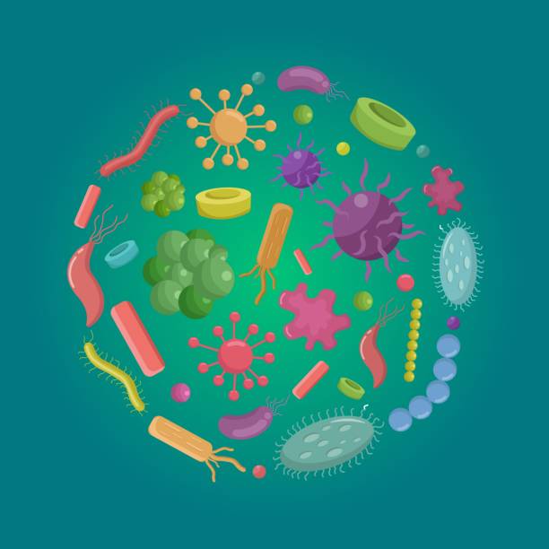 istock Big set bacteria and pandemic virus biology vector illustration cartoon 1086648656
