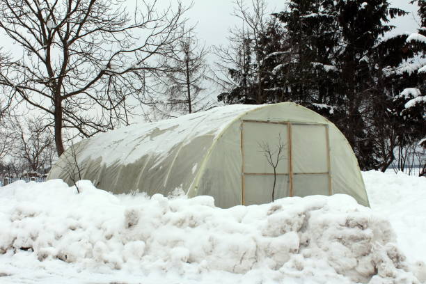istock Plastic greenhouse with wooden doors surrounded with snow 1086650190