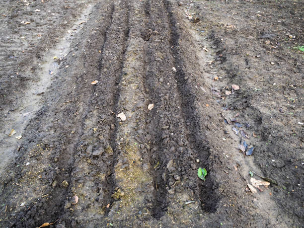istock empty plowed garden beds in winter 1086652388