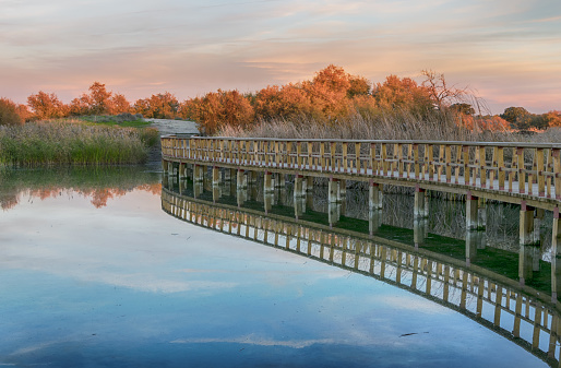 Reflection of the wwoden bridge on the blue lake. National Park Tablas de Daimiel. Ciudad Real. Spain.