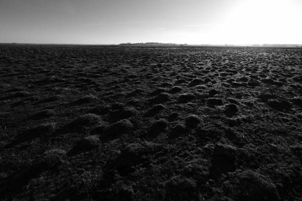 istock black and white image of a field with many small hills 1086654588