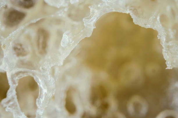 istock Texture of the bread, macro photography 1086656808
