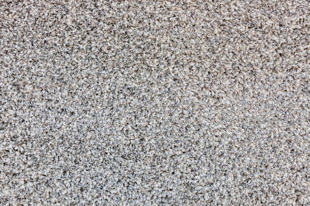 istock carpet of gray 1086663460