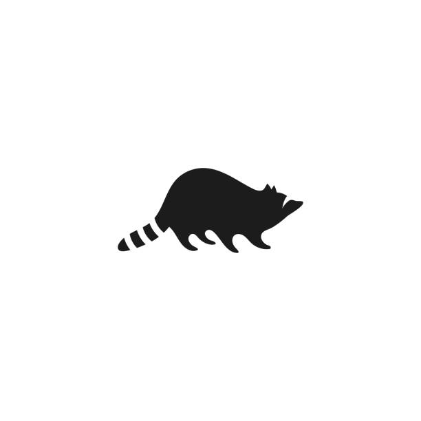 Raccoon Tattoo Designs Cartoons Illustrations, Royalty-Free Vector Graphics & Clip Art - iStock Raccoon Tattoo Designs Cartoons Illustrations, Royalty-Free Vector Graphics & Clip Art - iStock
