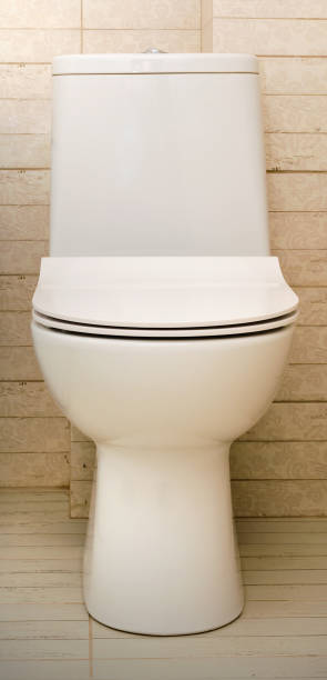 istock Water closet of ceramic in the bathroom 1086667366