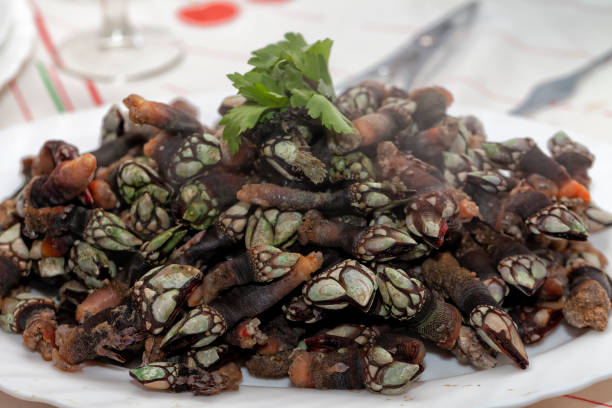 istock A dish with lots of freshly cooked barnacles 1086669116