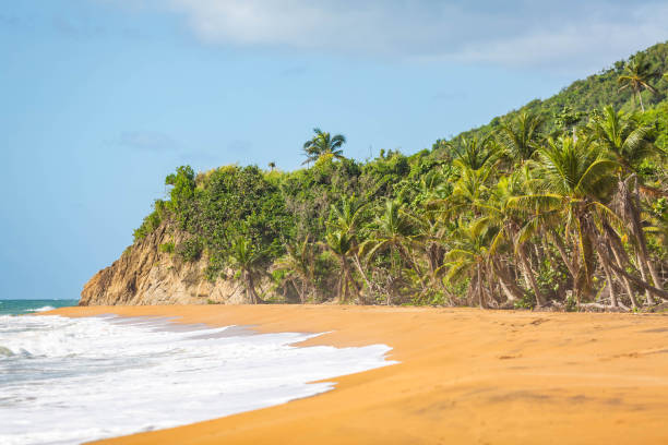 istock Flamenco Beach seaside shore Culebra Puerto Rico 1086671434
