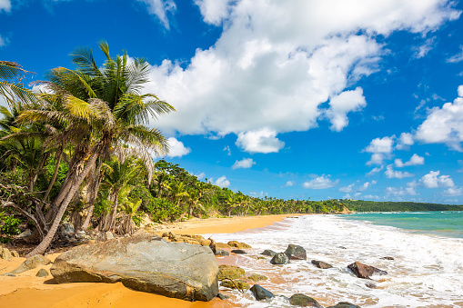 Exotic carribean shore of Puerto Rico Flamenco beach shore