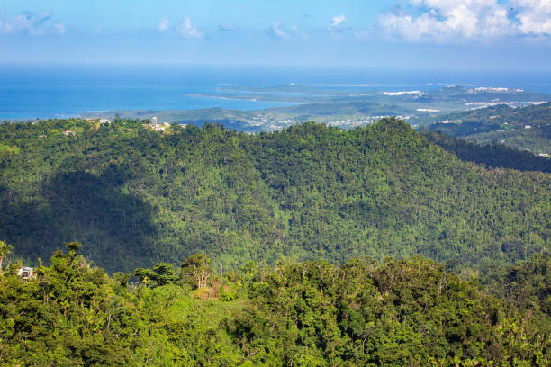 istock El Yunque National Forest Puerto Rico scenic view 1086671592