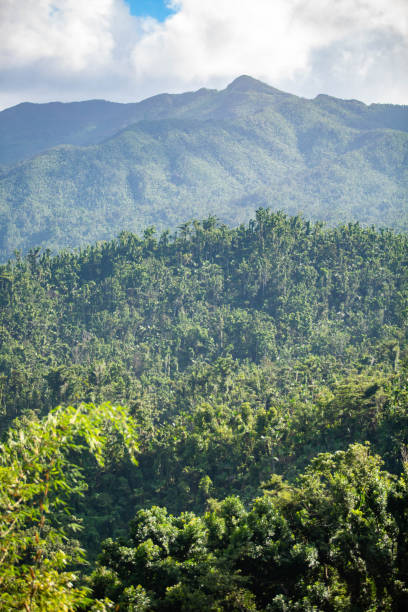 istock El Yunque National Forest Puerto Rico scenic view 1086671594