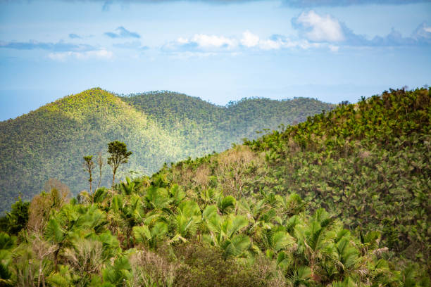 istock El Yunque National Forest Puerto Rico scenic view 1086671664
