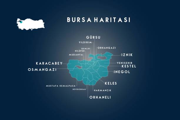 부르사 지역 gursu, gemlik, yildirim, nilufer, mudanya, karacabey, osmangazi, mustafakemalpasa, buyukorhan, orhaneli, harmancik, keles, inegol, kestel, yenisehir, iznik, orhangazi 지도, 터키 - bursa stock illustrations