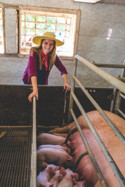 istock Farming is more than a job 1086673898