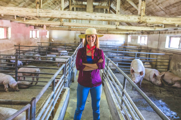 istock Farming is more than a job 1086673944