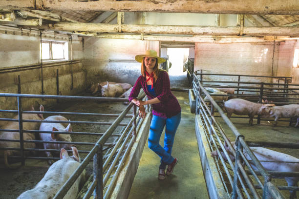 istock Farming is more than a job 1086674000
