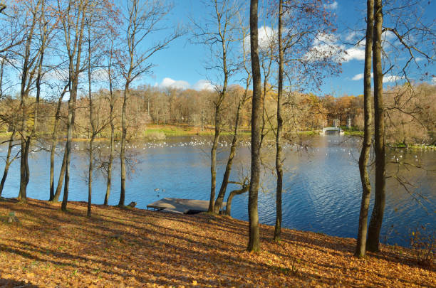 istock Autumn landscape in the Park. 1086677118