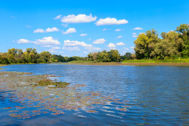 istock Summer landscape with beautiful river, green trees and blue sky 1086678154