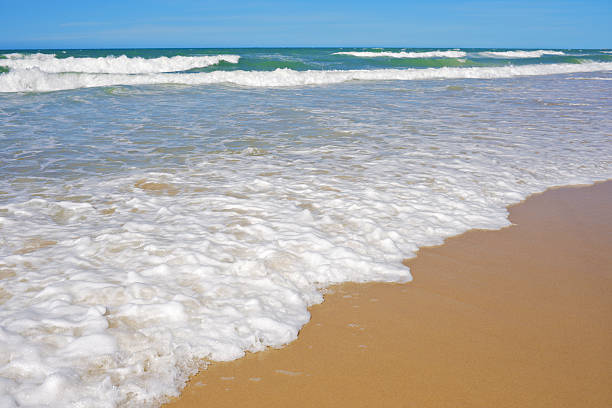 istock Foamy waves and blue sky at tropical beach in Brazil 108667842