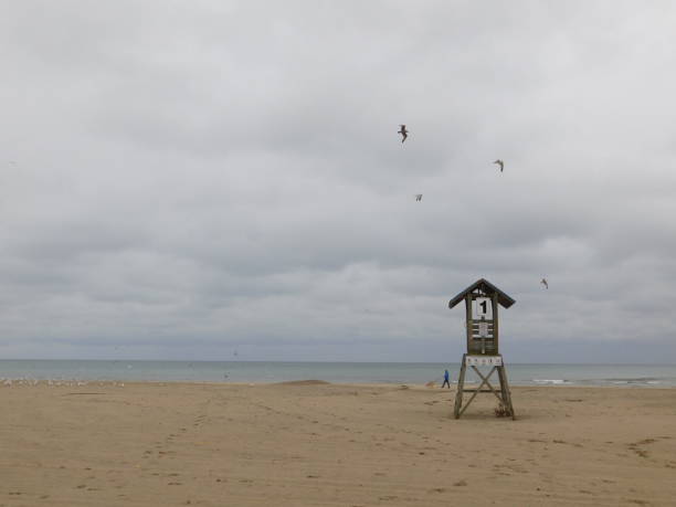istock Close-Up of Lifeguard #1 1086681362